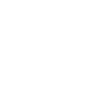 AOVO_logo